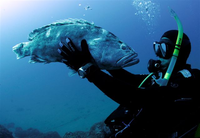 Submarinismo en busca de aventura