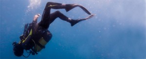 curso-open-water-diver