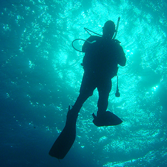 zonas de inmersion piscis diving