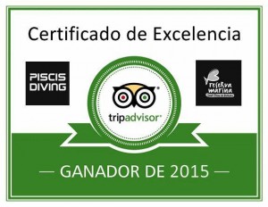 Certificado de excelencia TripAdvisor