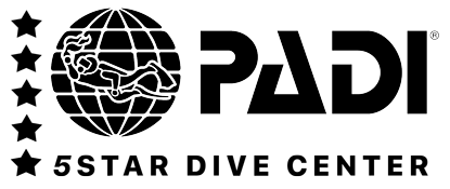 PADI_logo_4C_300dpi-06 marca piscis diving centro de buceo 5 estrellas padi